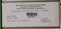 Image Associated With the Occurence